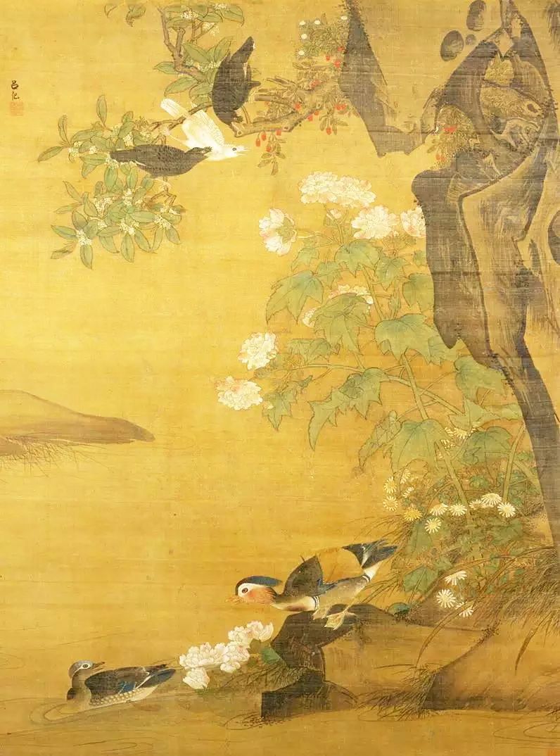birdWatching