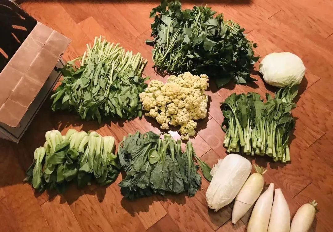 良食专栏 | 疫情下，我所亲历的美国食农体系危机和创新