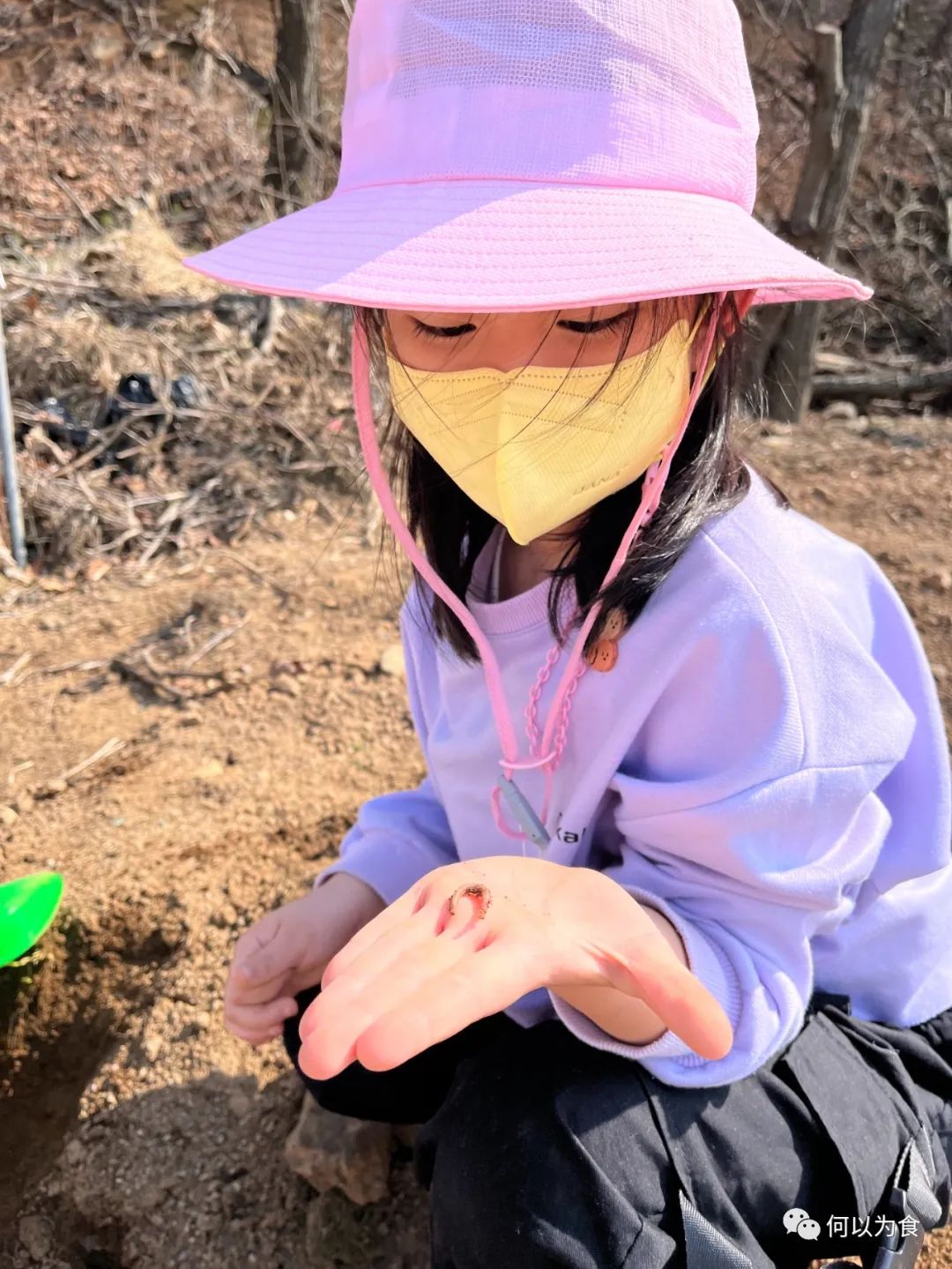 我在首尔都市农园种菜:从田园饮食到田园戏剧,菜地是我们融入城市的方法 | 良食专栏 我在首尔都市农园种菜:从田园饮食到田园戏剧,菜地是我们融入城市的方法 | 良食专栏
