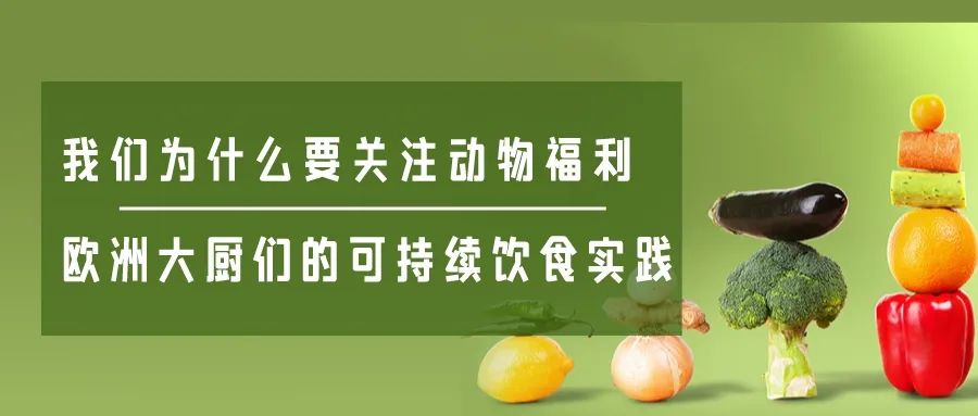 良食独家 | 全球最大商业屋顶农场，纽约客的十年疯狂实践