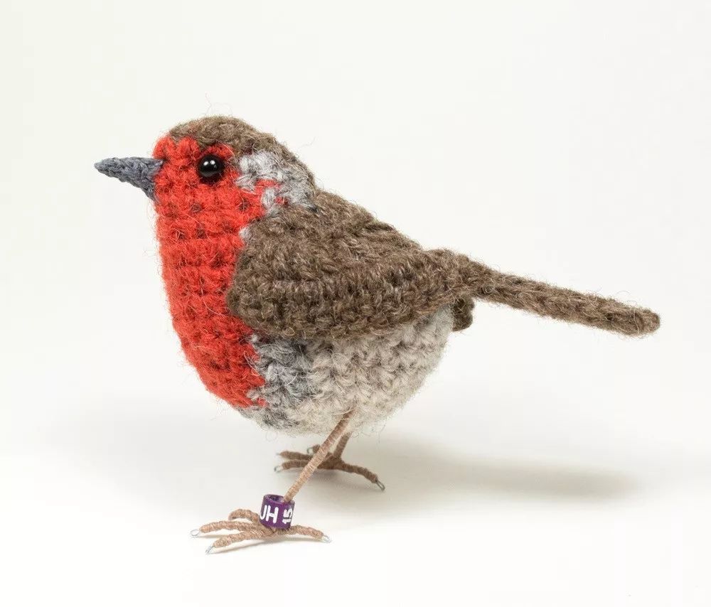 birdWatching