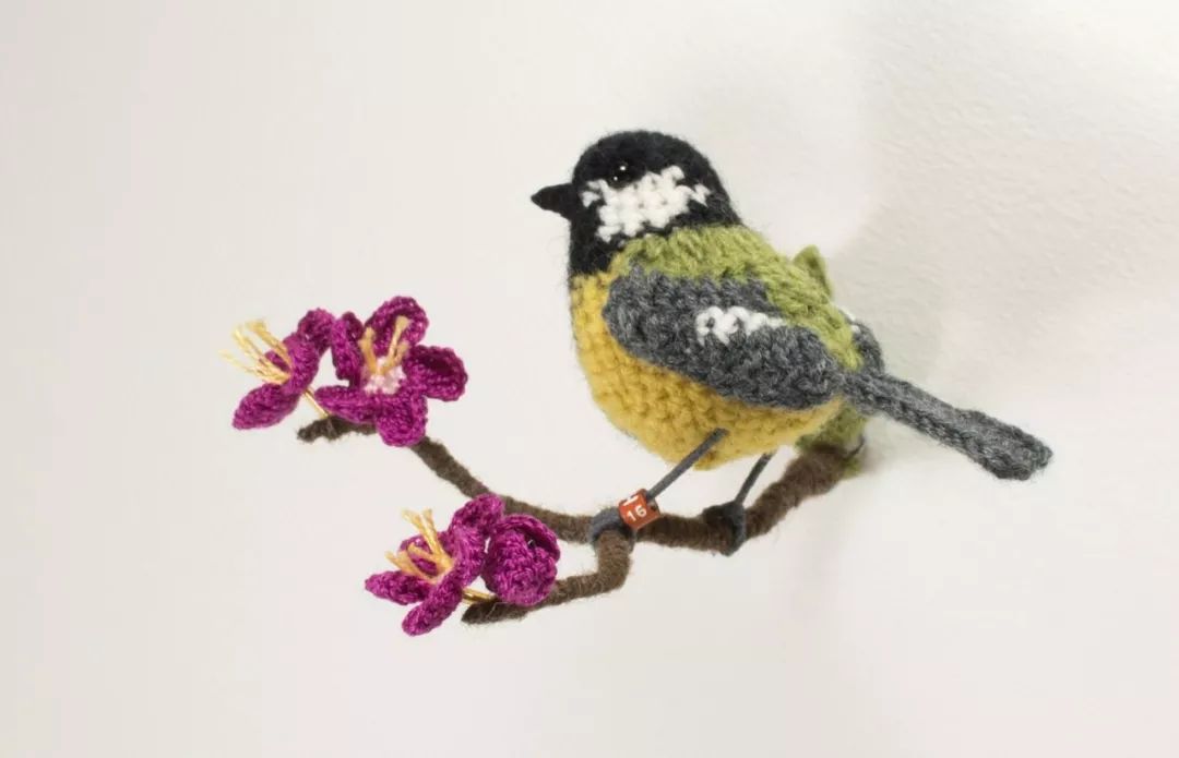 birdWatching