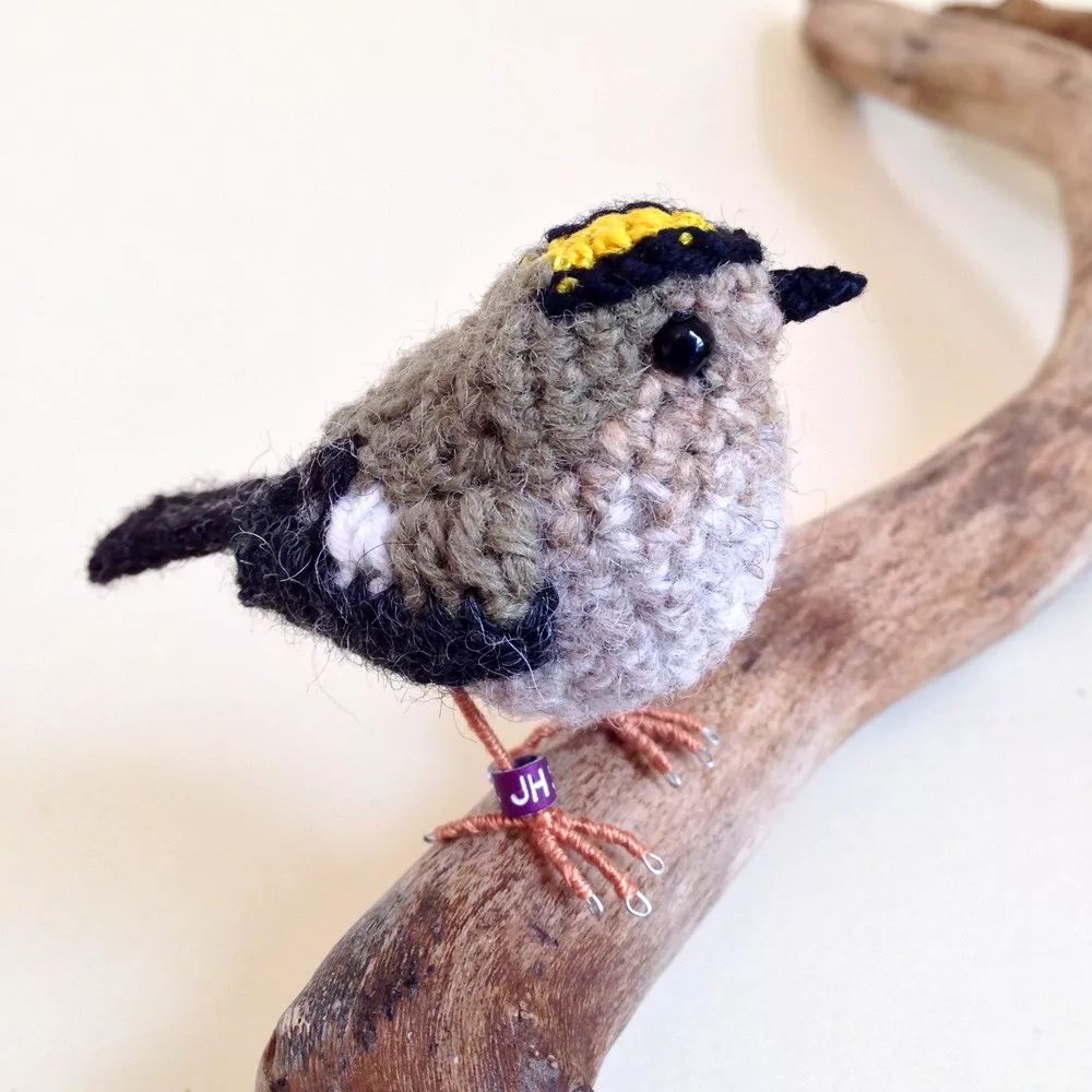 birdWatching