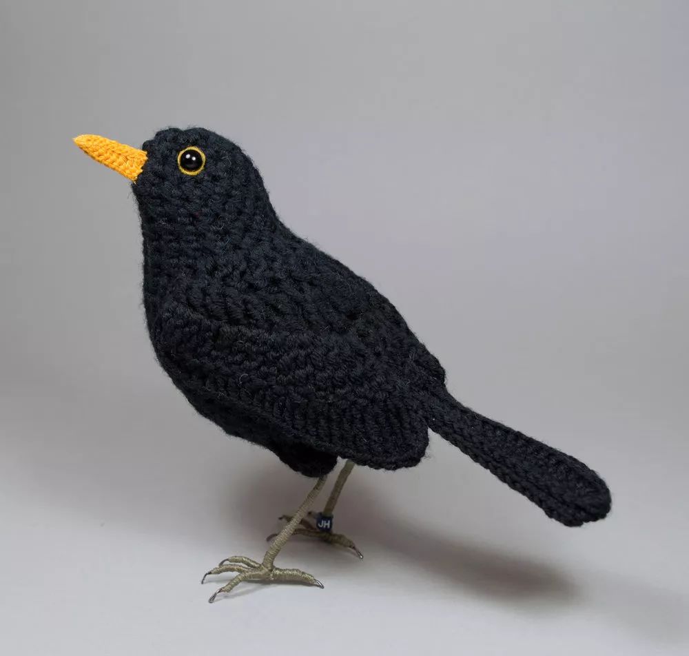 birdWatching