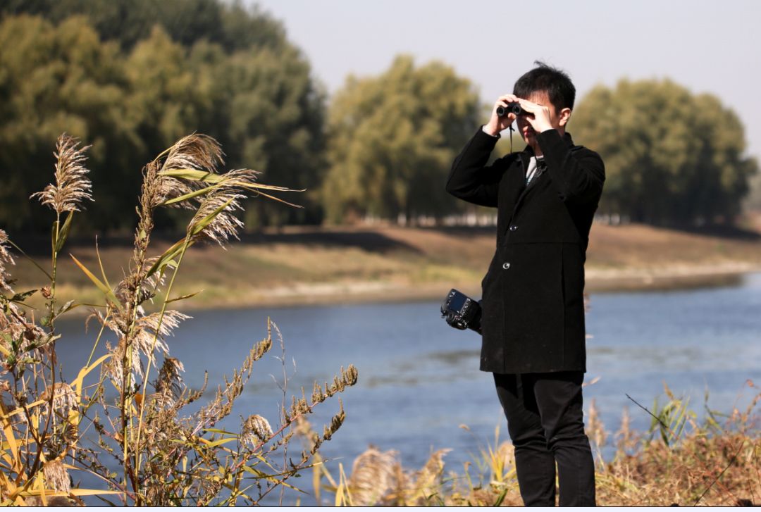 birdWatching