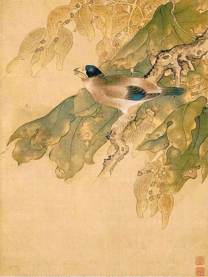 birdWatching
