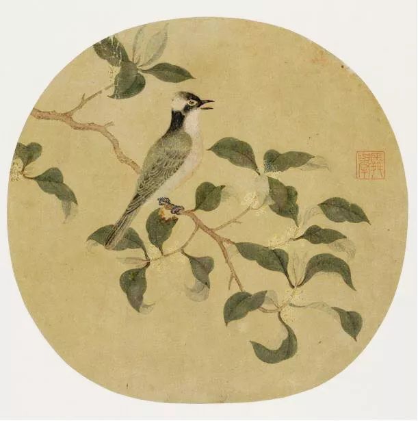 birdWatching