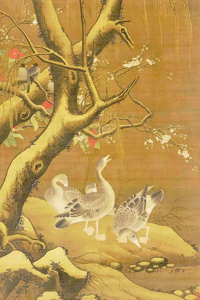 birdWatching