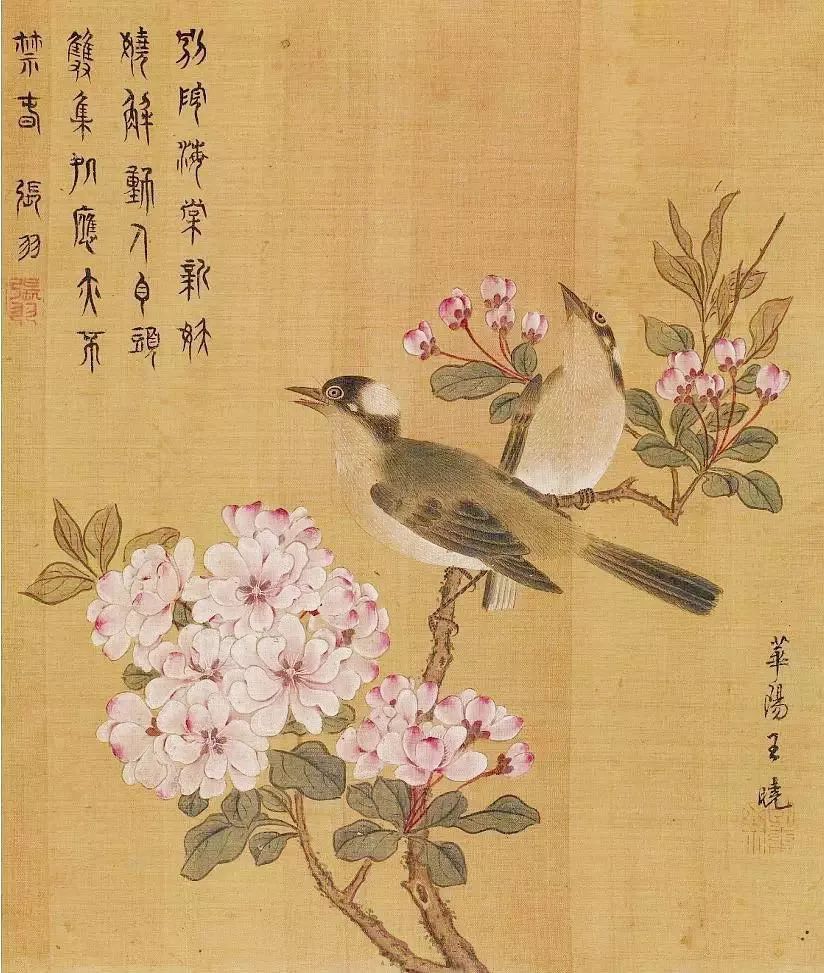 birdWatching