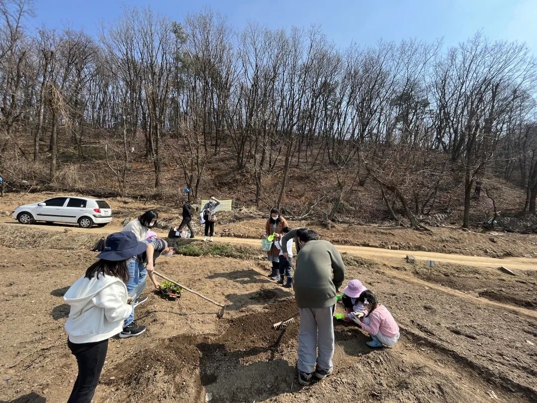 我在首尔都市农园种菜：从田园饮食到田园戏剧，菜地是我们融入城市的方法 | 良食专栏