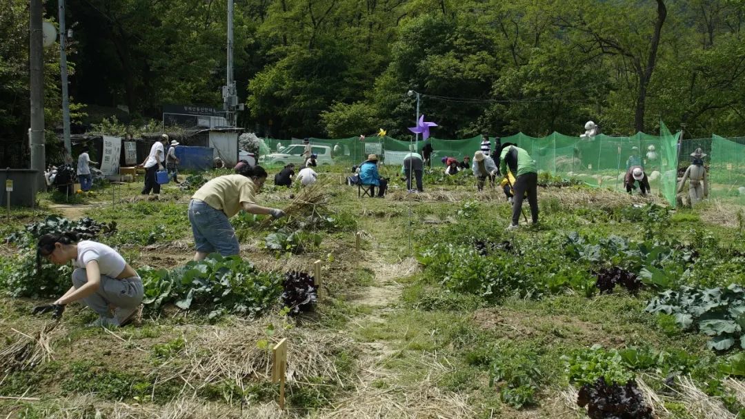 韩国“感谢土地”农场,用碳素农业拯救地球 | 良食专栏 韩国“感谢土地”农场,用碳素农业拯救地球 | 良食专栏