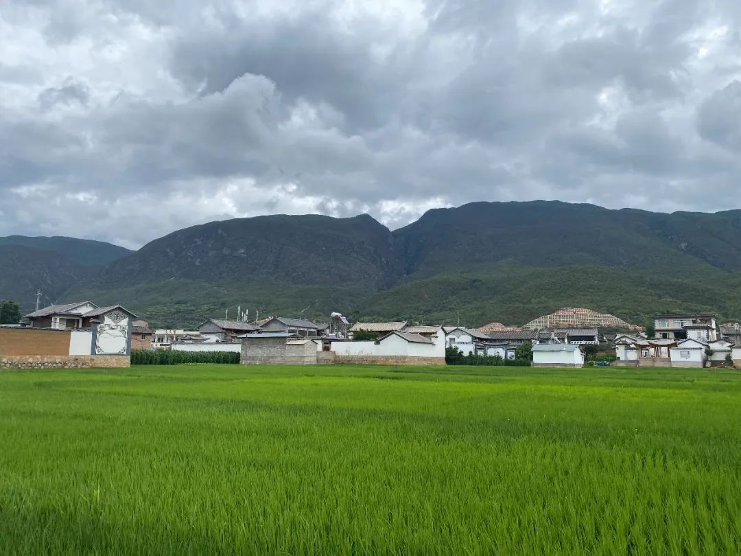 大理和沙溪，那些离开城市的隐世者们