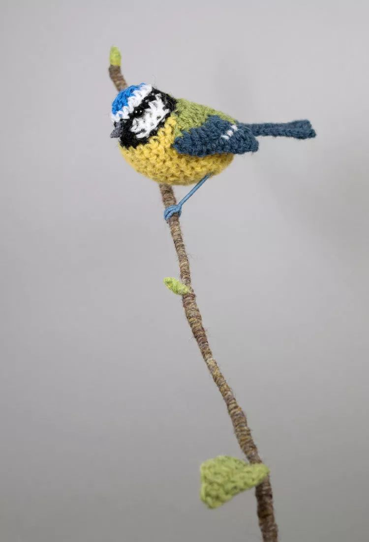 birdWatching
