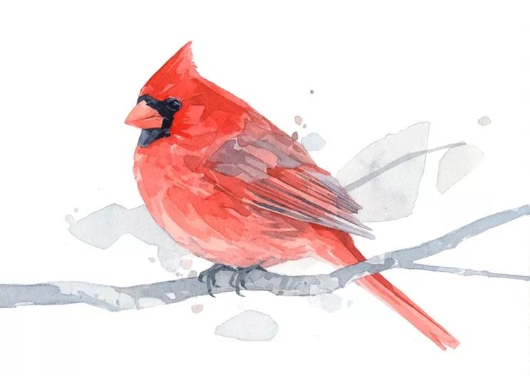 birdWatching