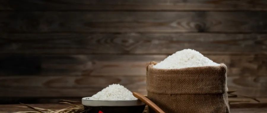 腊八节 | 一碗粥，人与社会免疫力的重建