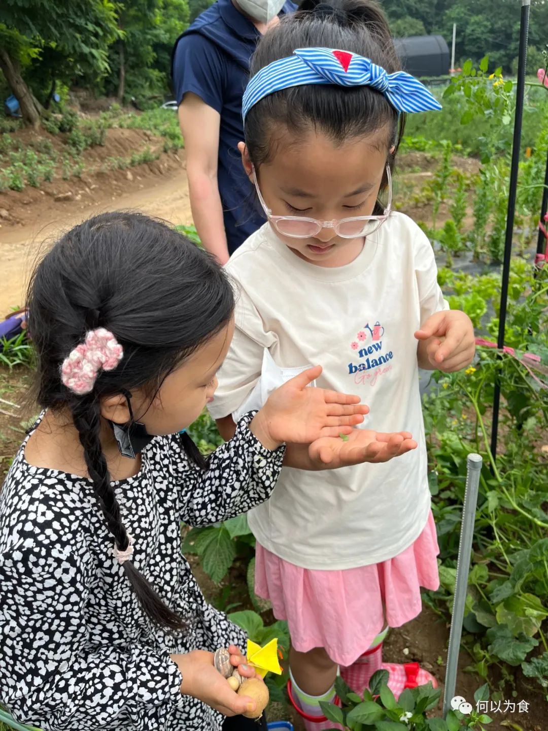 我在首尔都市农园种菜：从田园饮食到田园戏剧，菜地是我们融入城市的方法 | 良食专栏