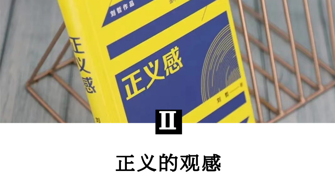 我们对正义有什么感觉？