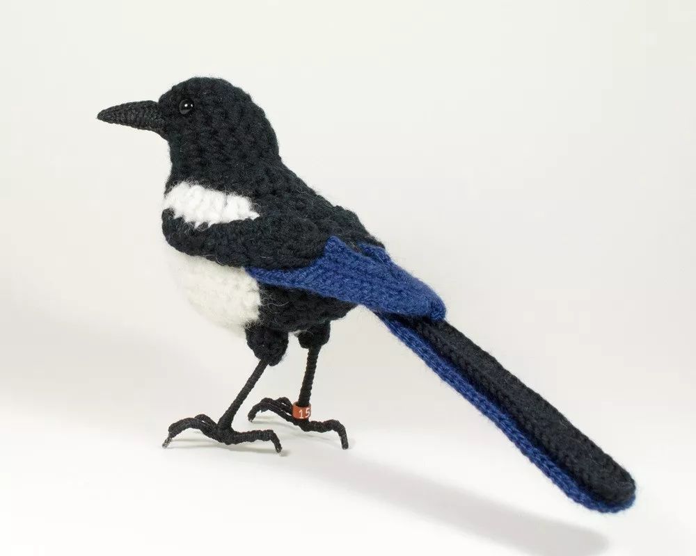 birdWatching