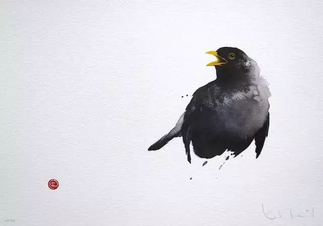 birdWatching