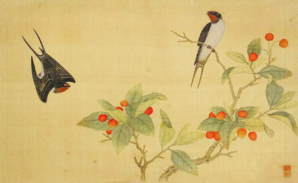 birdWatching