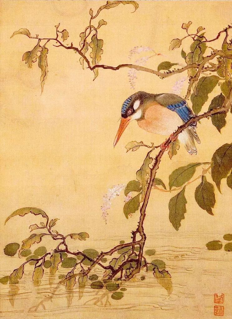 birdWatching