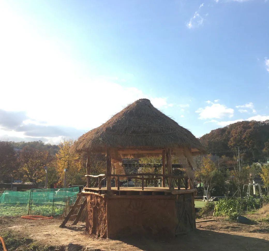 良食专栏 | 韩国泡菜:从田地到餐桌的故事 良食专栏 | 韩国泡菜:从田地到餐桌的故事