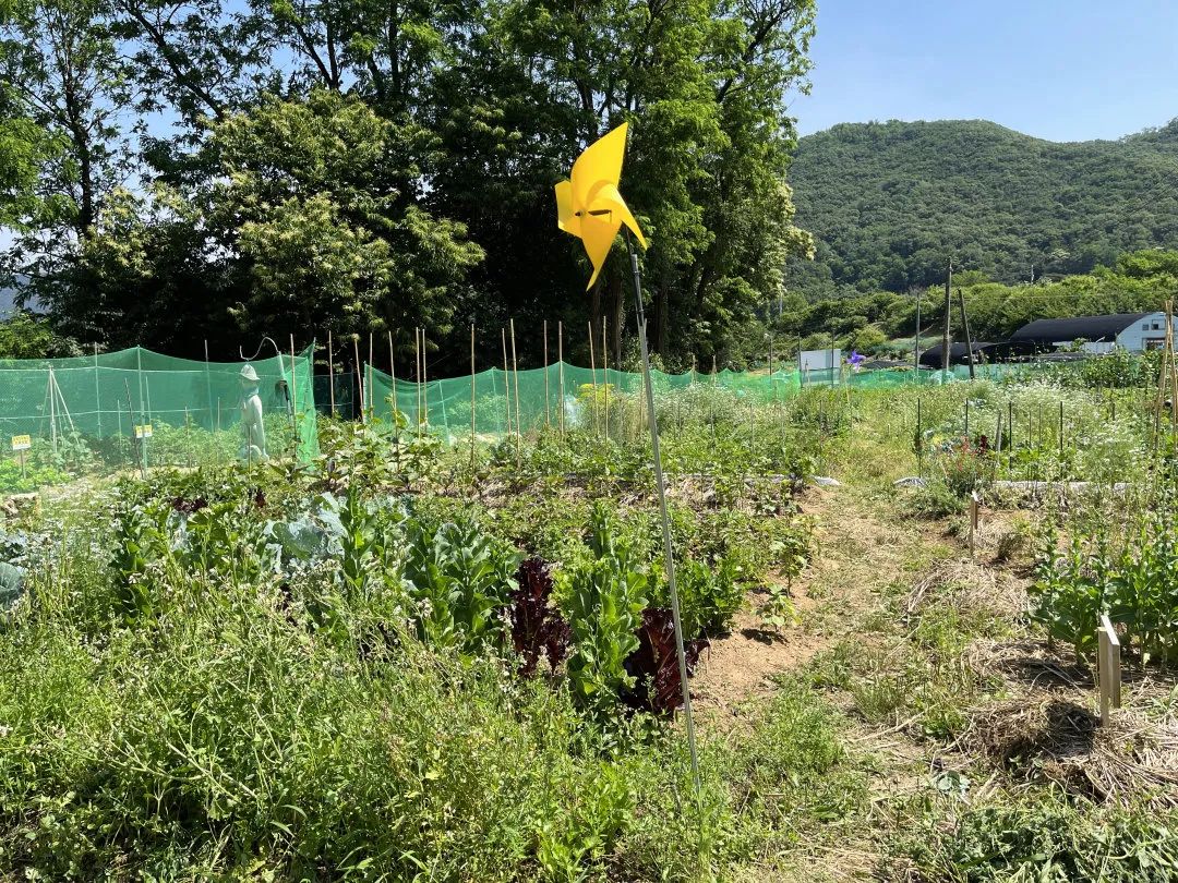 韩国“感谢土地”农场,用碳素农业拯救地球 | 良食专栏 韩国“感谢土地”农场,用碳素农业拯救地球 | 良食专栏