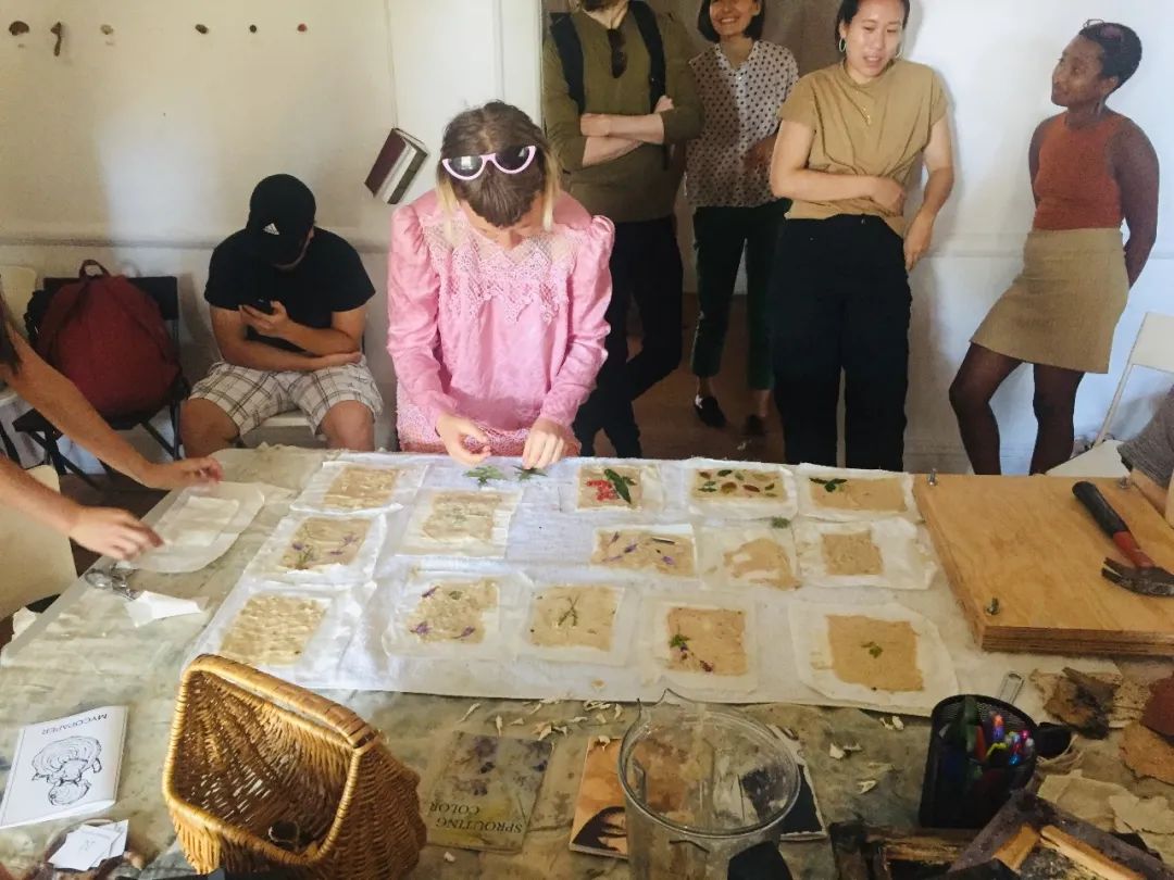 从地下室种蘑菇到纽约总督岛驻留艺术家，城市农业还可以这么玩？| 良食专栏