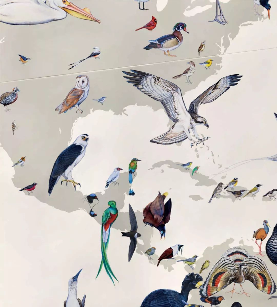 birdWatching