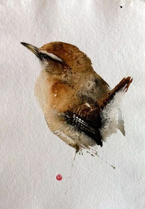 birdWatching