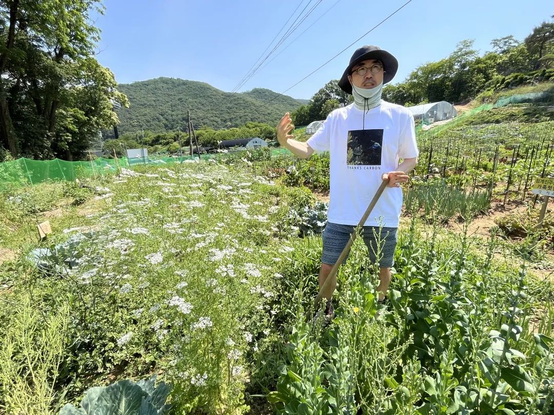 韩国“感谢土地”农场,用碳素农业拯救地球 | 良食专栏 韩国“感谢土地”农场,用碳素农业拯救地球 | 良食专栏