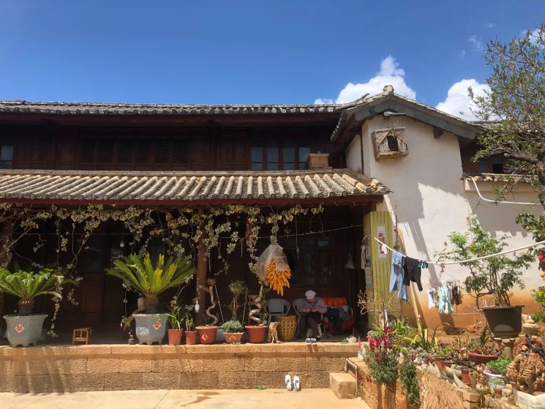 离开城市,去大理躺平,是“下沉式堕落”吗? 离开城市,去大理躺平,是“下沉式堕落”吗?
