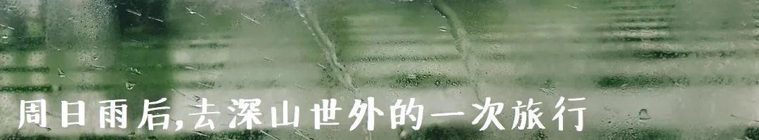 女生们，30岁之前，尽情恋爱吧