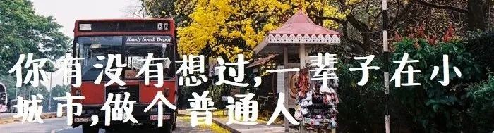 在大理，除了喂奶，这些男人承包了育儿和家务