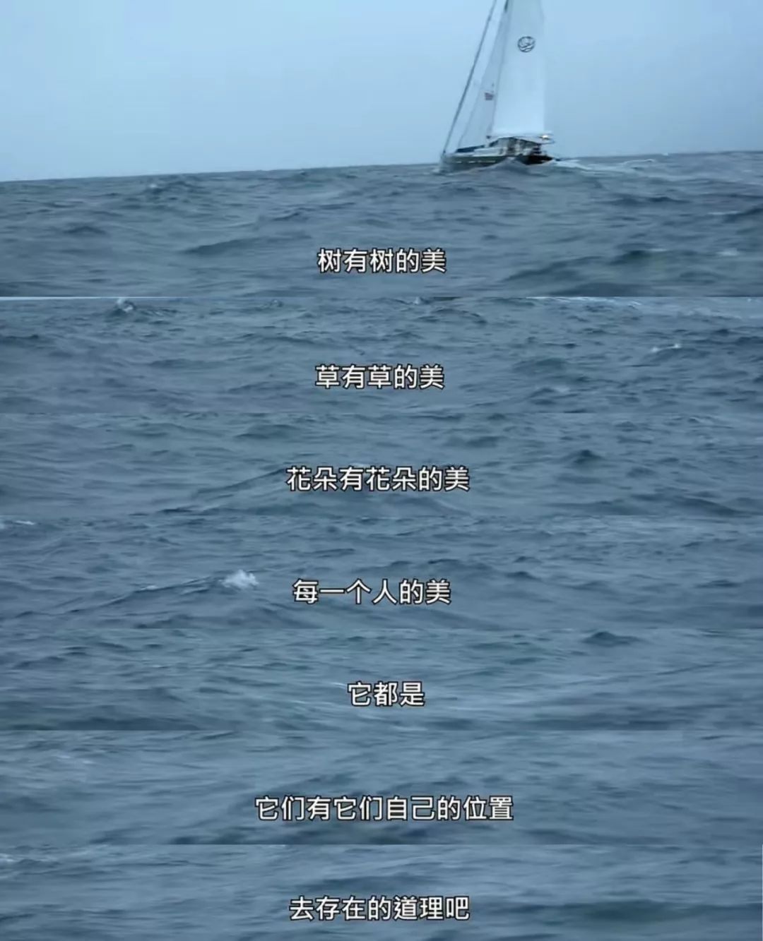 我们单身，已婚，离婚，但我们都可以坦然地活着